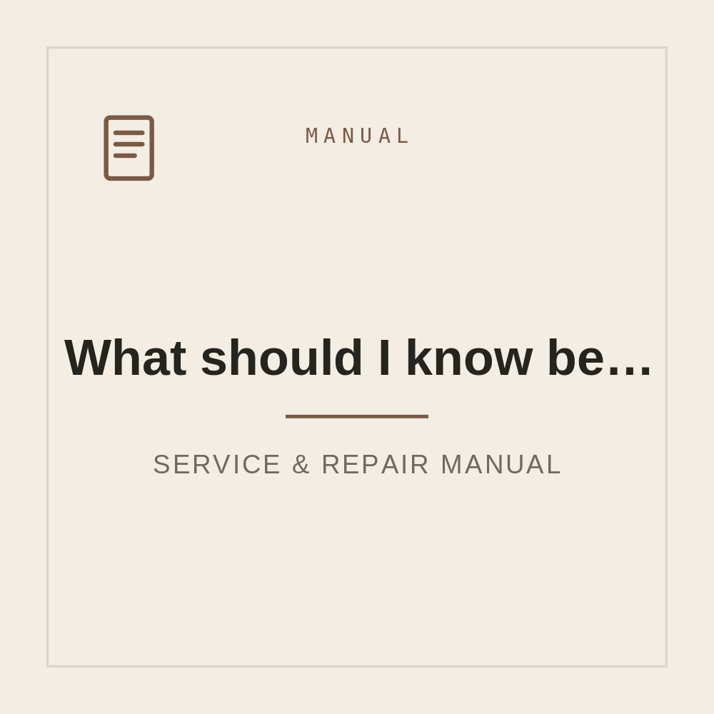 What should I know before traveling to Germany? Tips for Tourists — repair manual cover