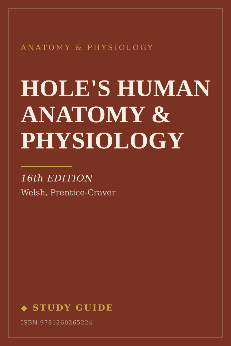 Hole's Human Anatomy & Physiology (16th Edition) study guide cover