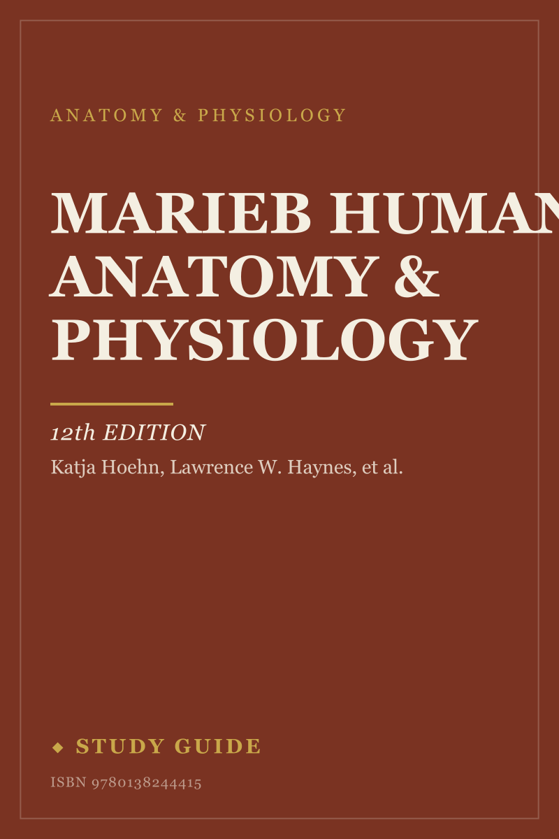Marieb Human Anatomy & Physiology (12th Edition) study guide cover